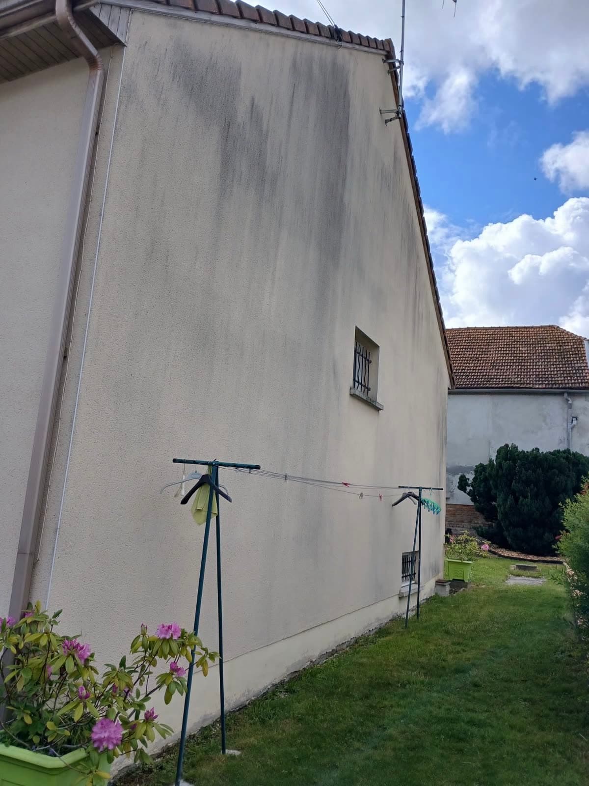 Mur pignon en enduit clair envahi par les traces vertes et grises d'humidité avant nettoyage