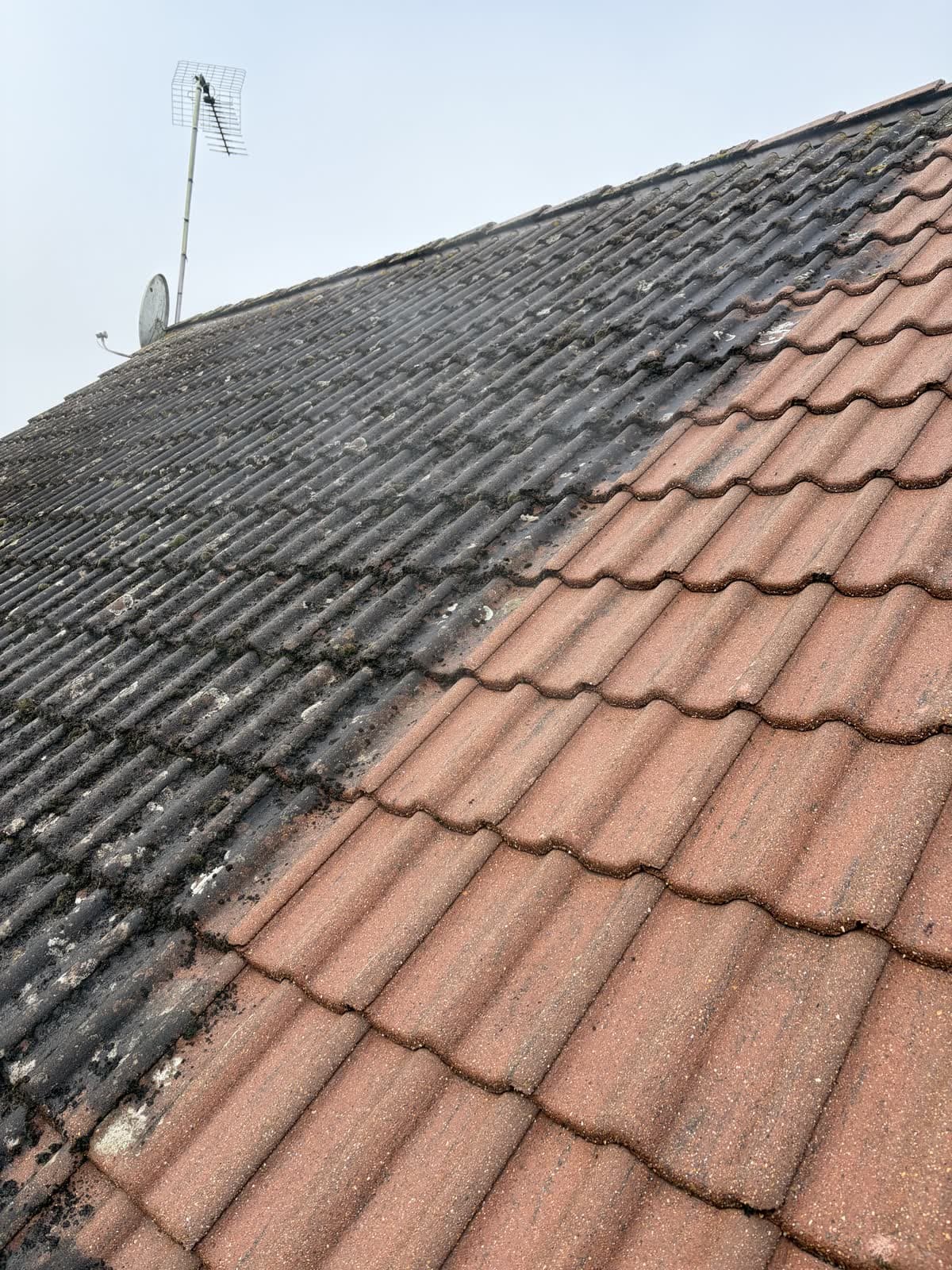 Toiture en tuiles béton en cours de démoussage : mousses et lichens noirs sur la partie gauche, tuiles rouges retrouvées sur la partie droite