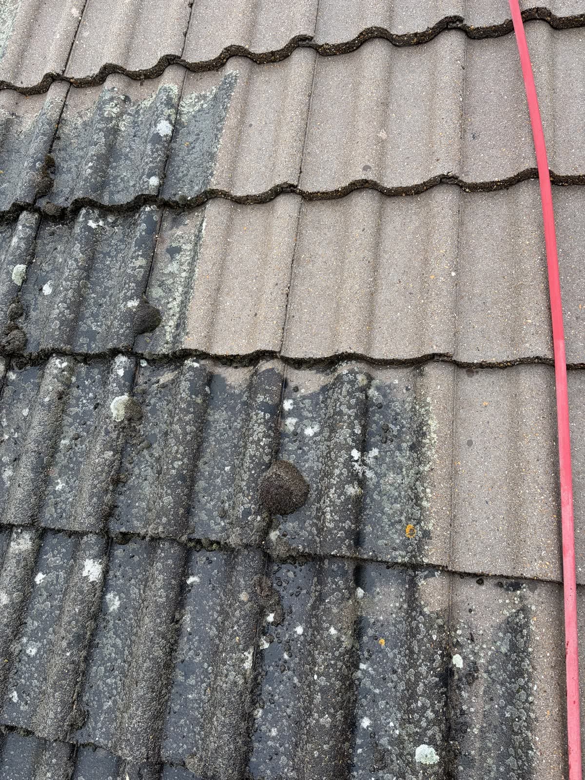 Gros plan sur des tuiles béton en cours de nettoyage : lichens et mousses incrustés en bas, tuiles nettes en haut
