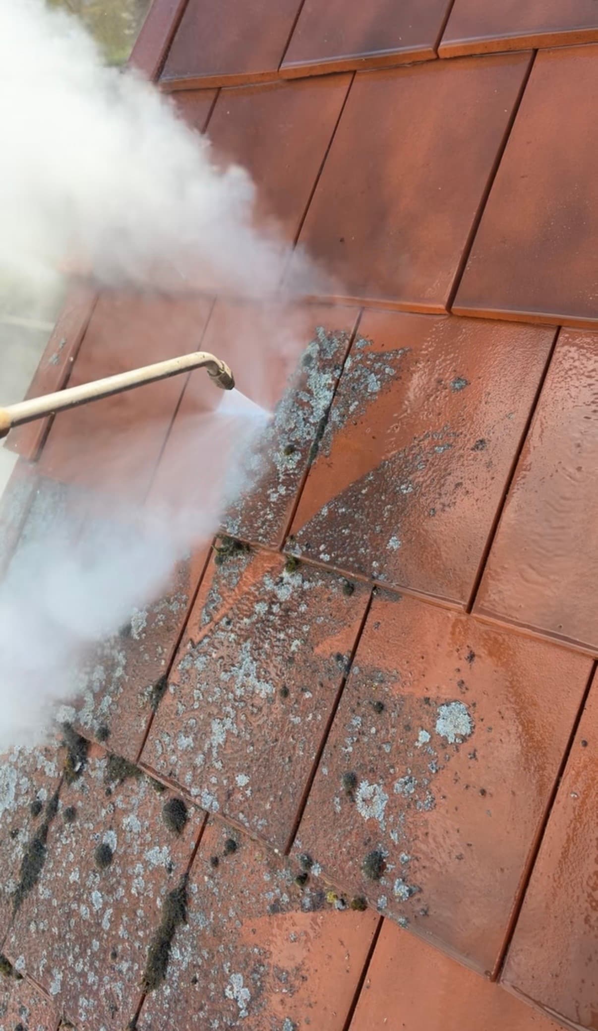 Nettoyage d'une toiture en tuiles à la vapeur dans l'Aisne